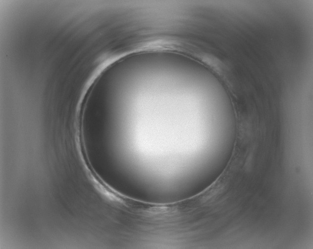 X0000055521478200508121030