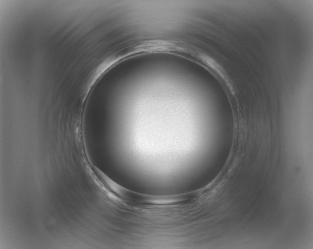 X0000055521481200508121030