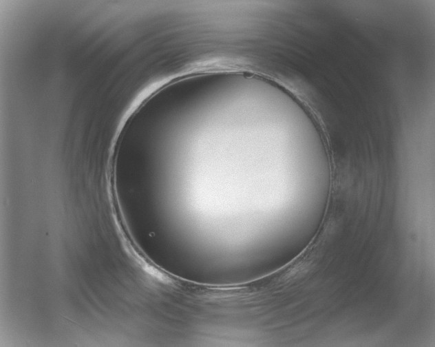 X0000055521486200508121030