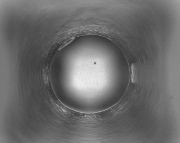 X0000055521491200508121029