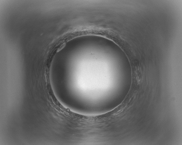 X0000055521493200508121029