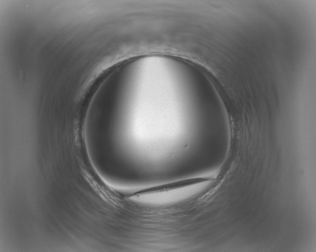 X0000055521499200508121029