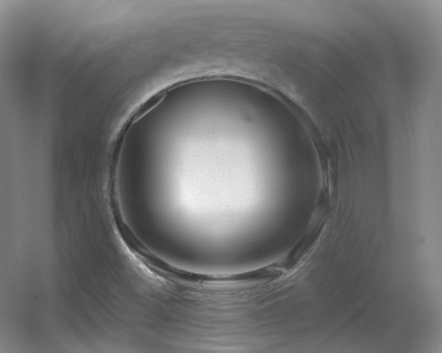 X0000055521500200508121029