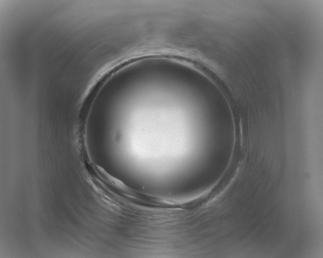 X0000055521501200508121029