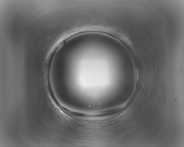X0000055521504200508121029