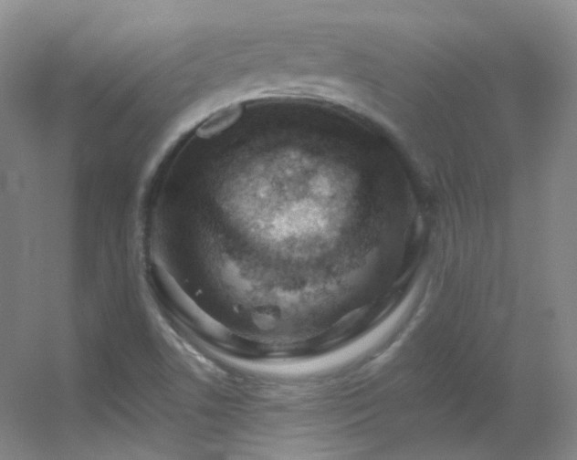 X0000055521506200508121030