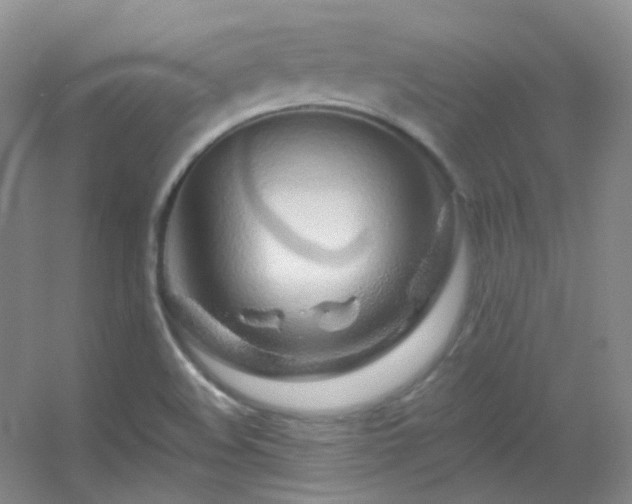 X0000055521508200508121030