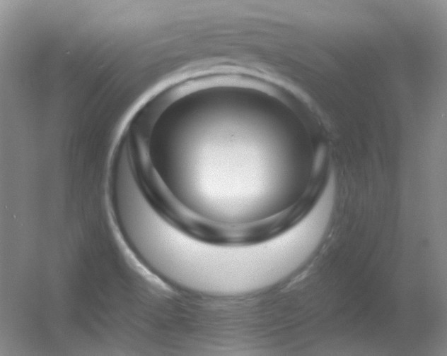 X0000055521518200508121030