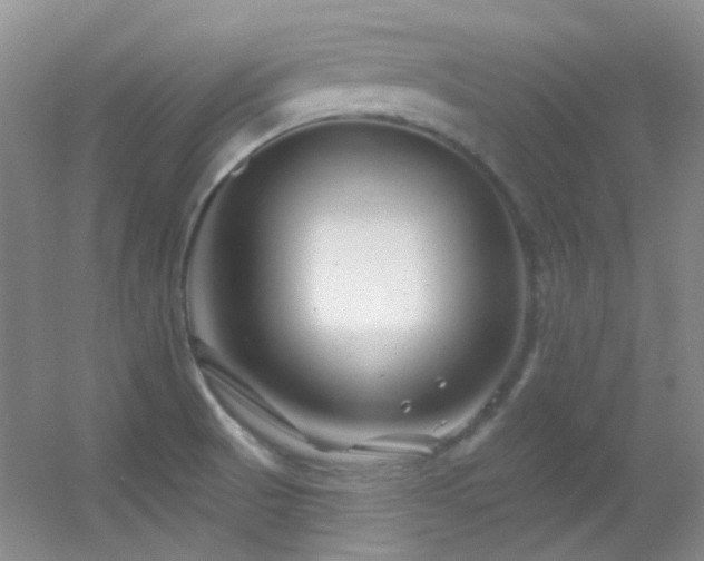X0000055521521200508121030