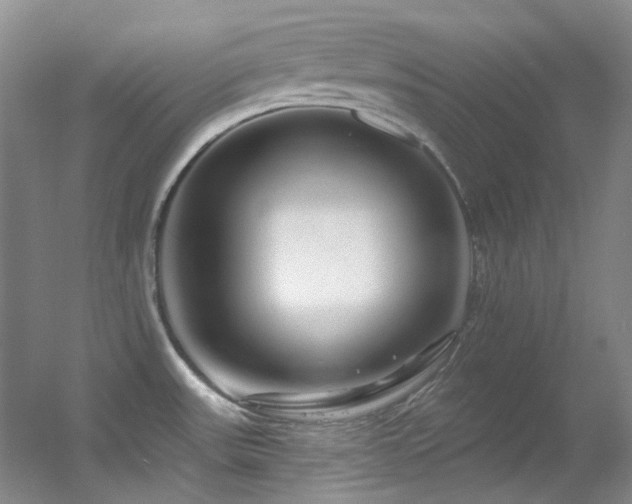 X0000055521531200508121030