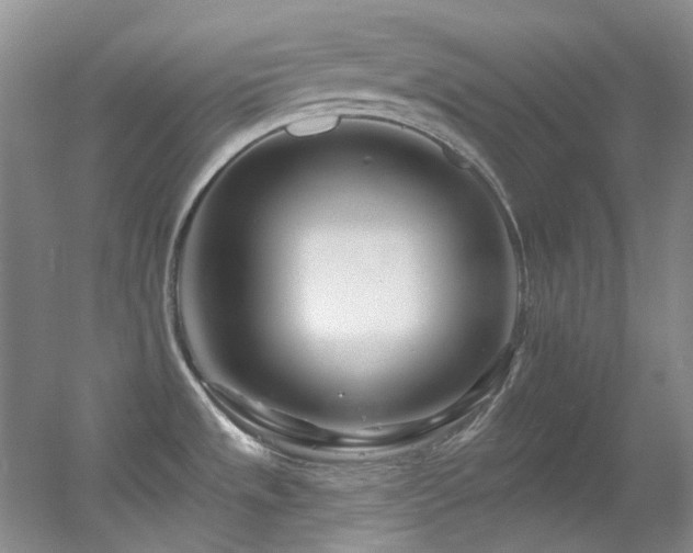 X0000055521533200508121030
