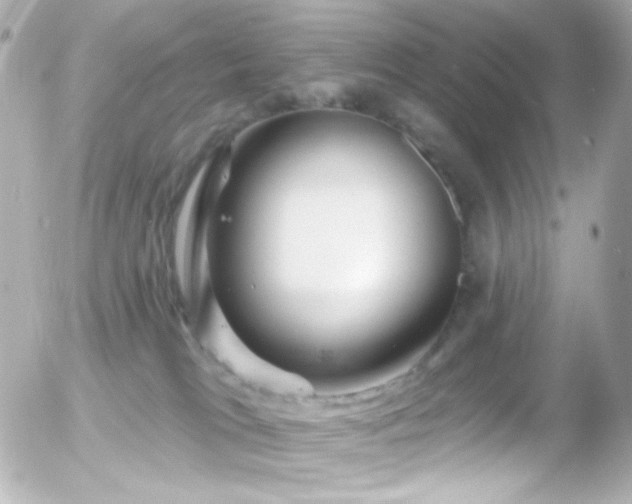 X0000055520037200508151441