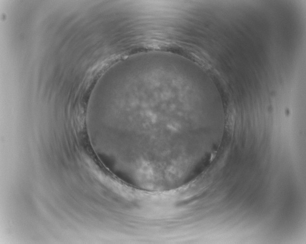 X0000055520043200508151441