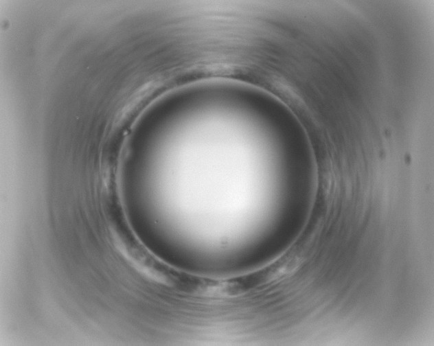 X0000055520072200508151441