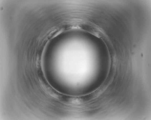 X0000055520073200508151441