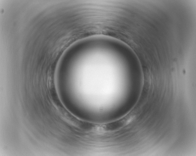 X0000055520080200508151441