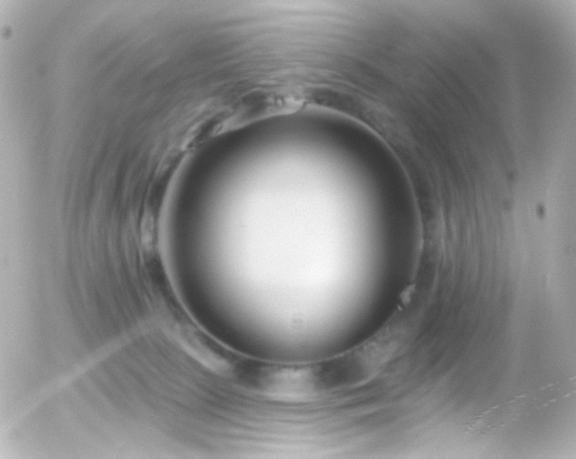X0000055520081200508151441