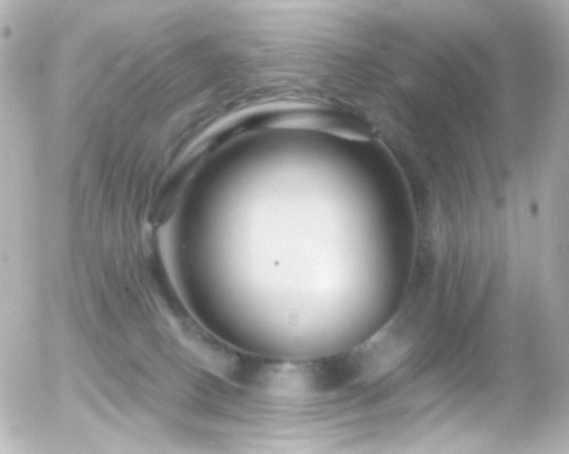 X0000055520082200508151441