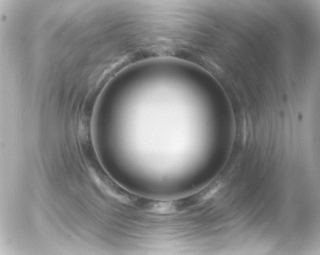 X0000055520088200508151441