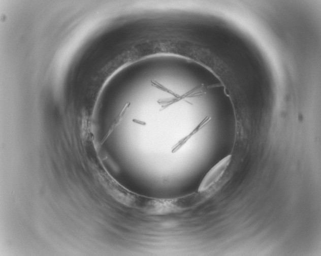 X0000055520093200508151441