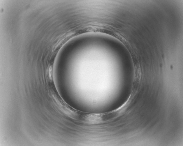 X0000055520094200508151441
