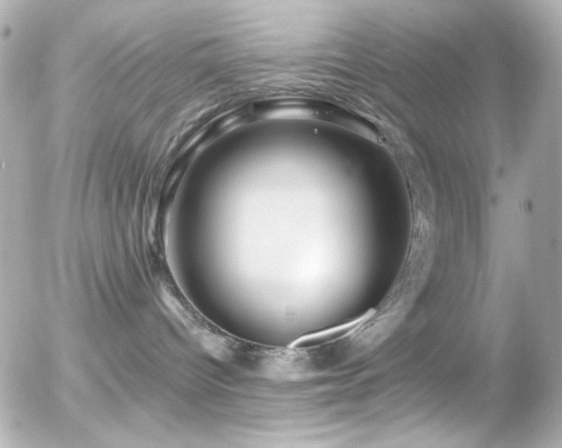 X0000055520096200508151441