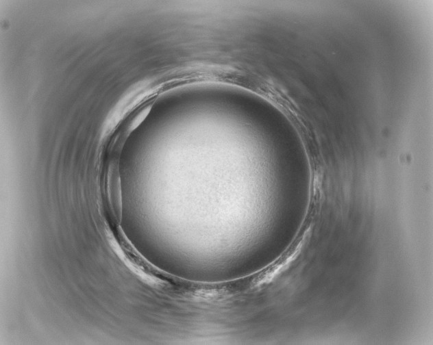 X0000055520101200508151440