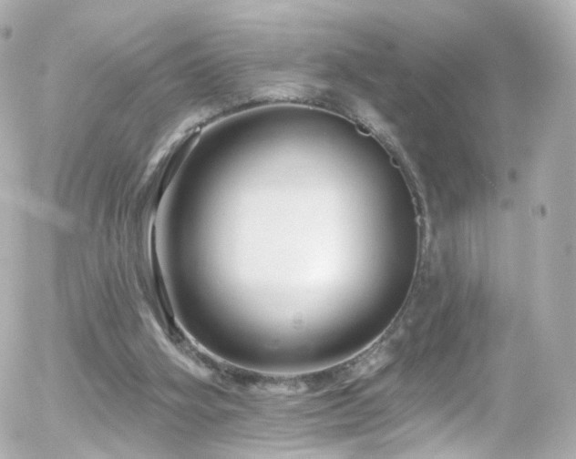 X0000055520106200508151440