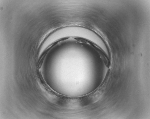 X0000055520107200508151440