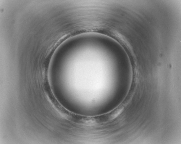 X0000055520113200508151440