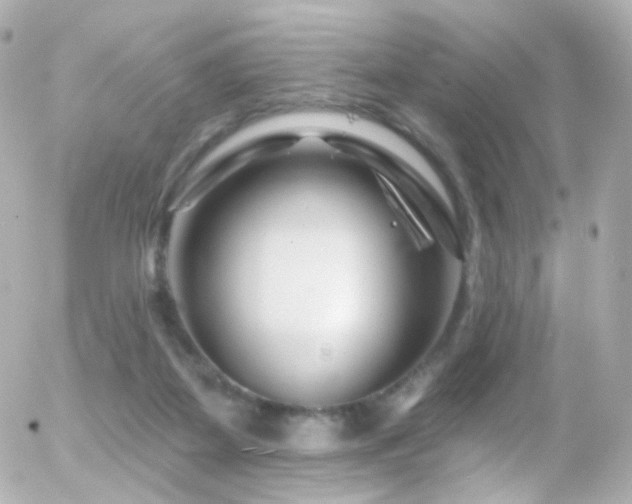 X0000055520115200508151440