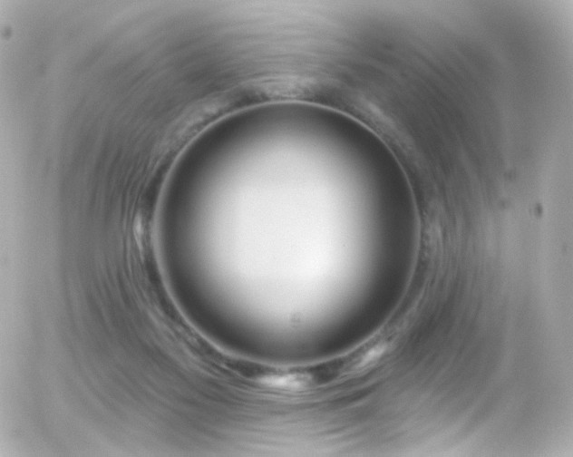 X0000055520117200508151440