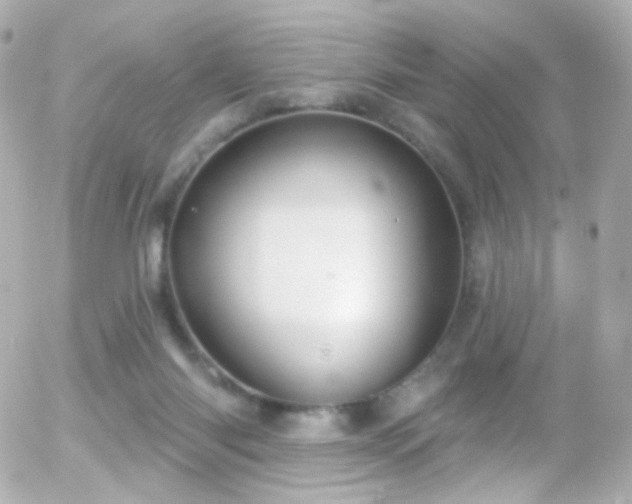 X0000055520118200508151440