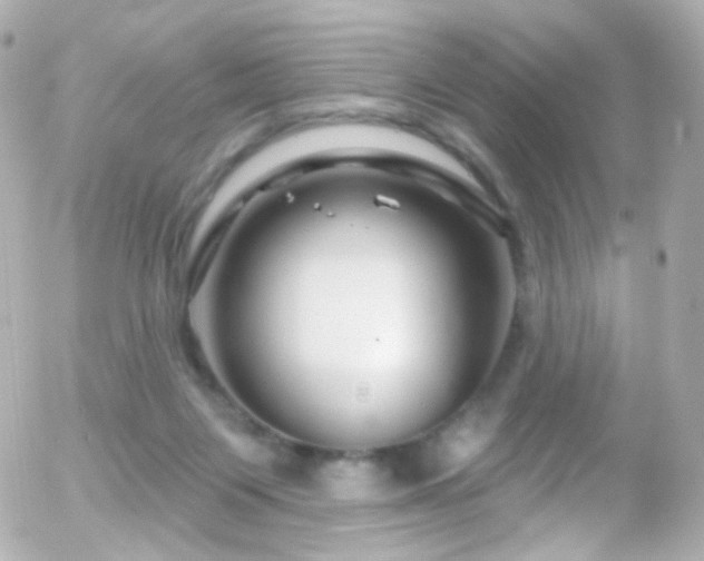 X0000055520119200508151440