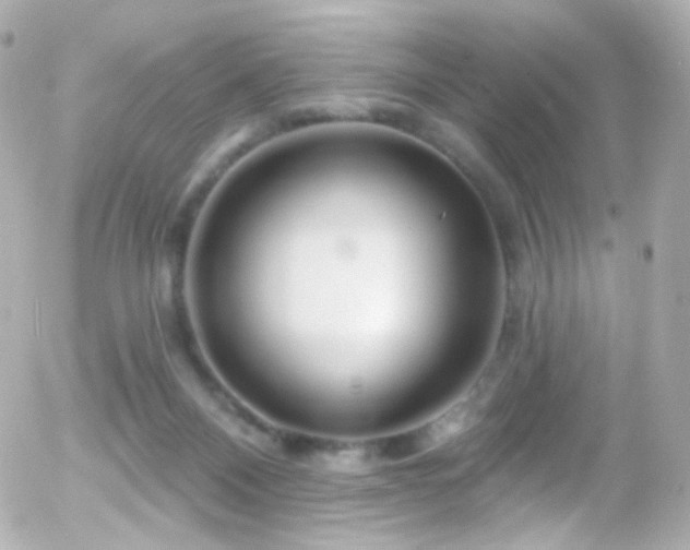 X0000055520120200508151440