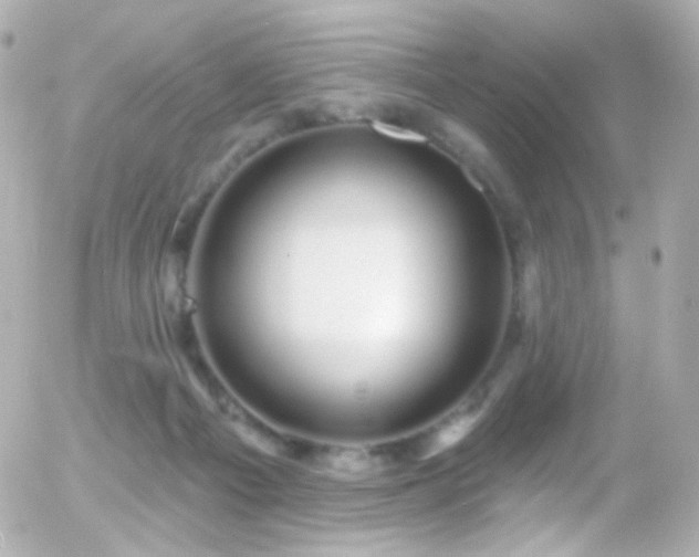 X0000055520121200508151440