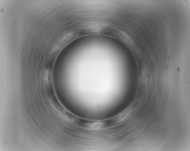 X0000055520122200508151440