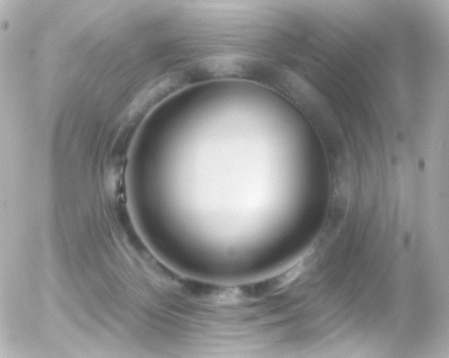 X0000055520124200508151440