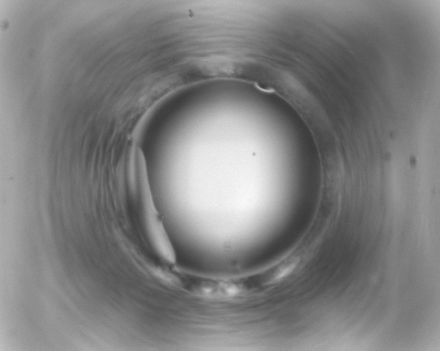X0000055520125200508151440