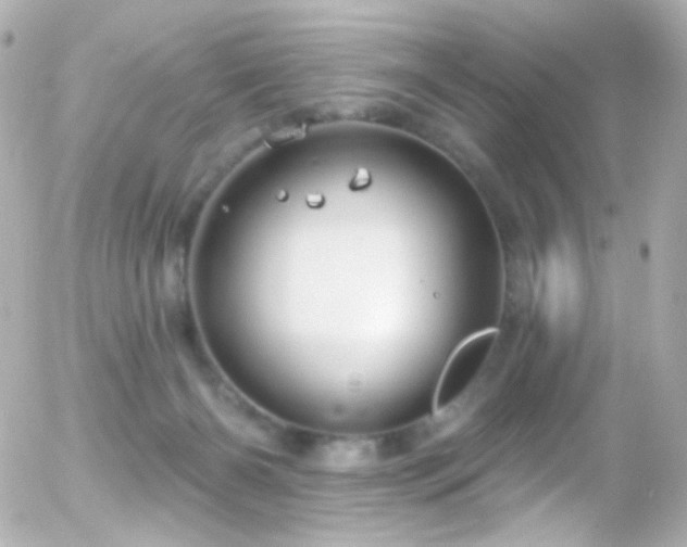 X0000055520126200508151440