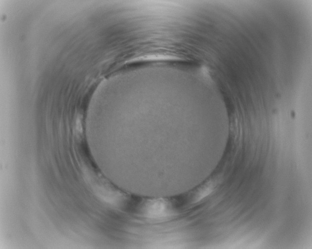 X0000055520127200508151440