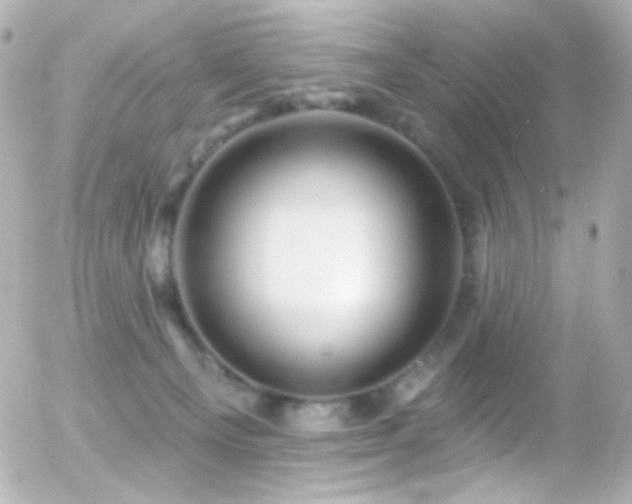 X0000055520129200508151440