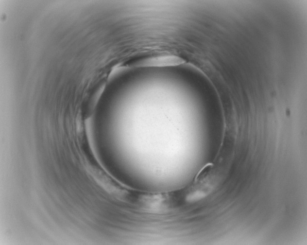 X0000055520131200508151440