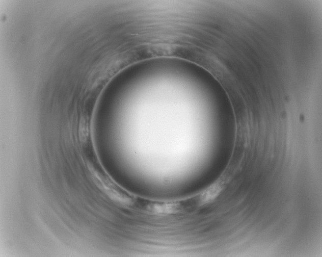 X0000055520134200508151440