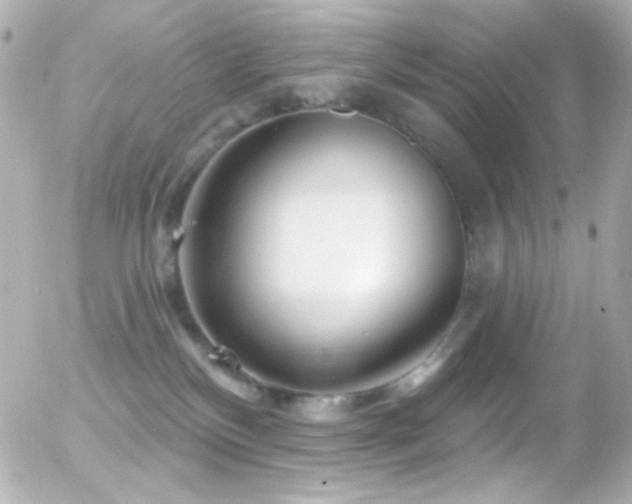 X0000055520136200508151440