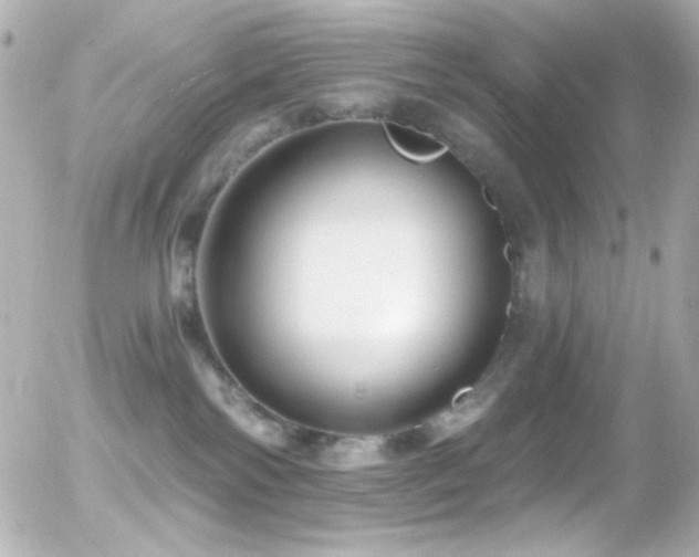 X0000055520138200508151440