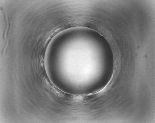 X0000055520144200508151440