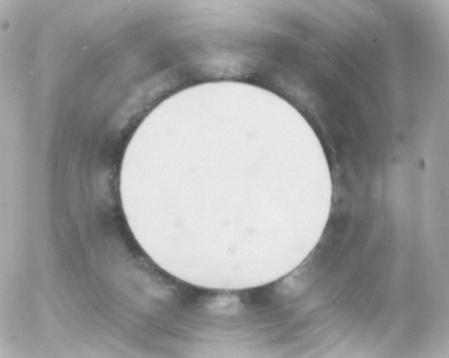 X0000055520162200508151439