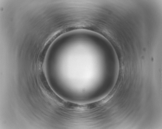 X0000055520164200508151439