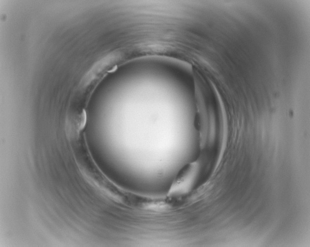 X0000055520168200508151439